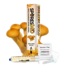Golden Halo Spore Syringe - 10ml
