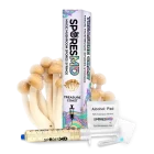 Treasure Coast Spore Syringe - 10ml